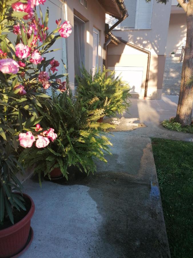 Villa Ros Guest House スヴィレングラッド エクステリア 写真