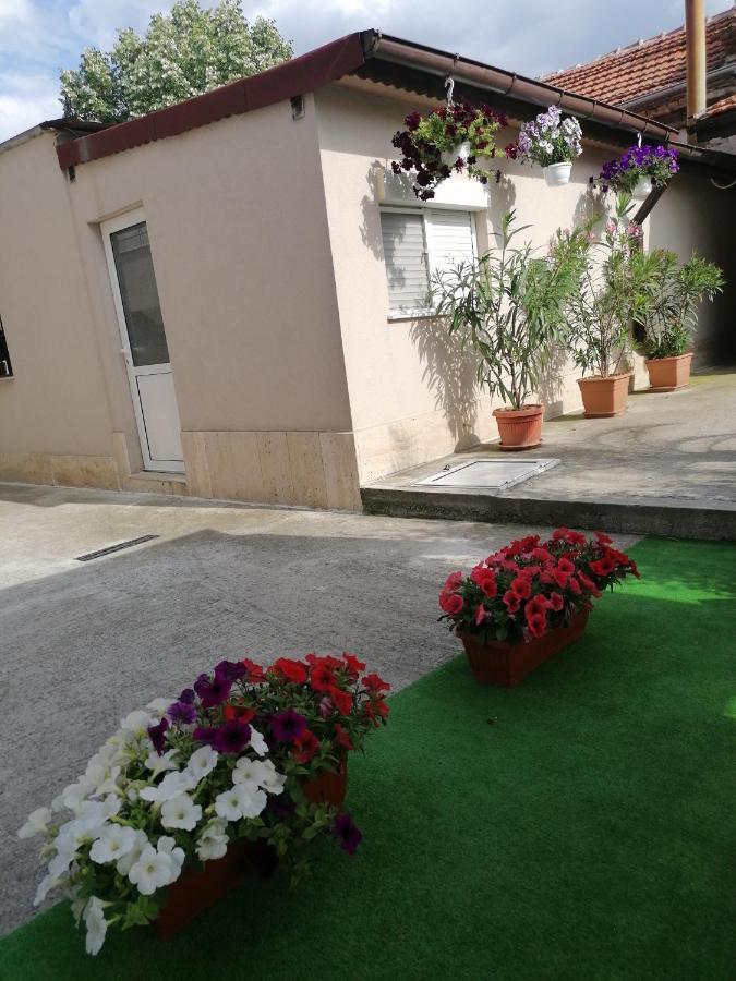 Villa Ros Guest House スヴィレングラッド エクステリア 写真