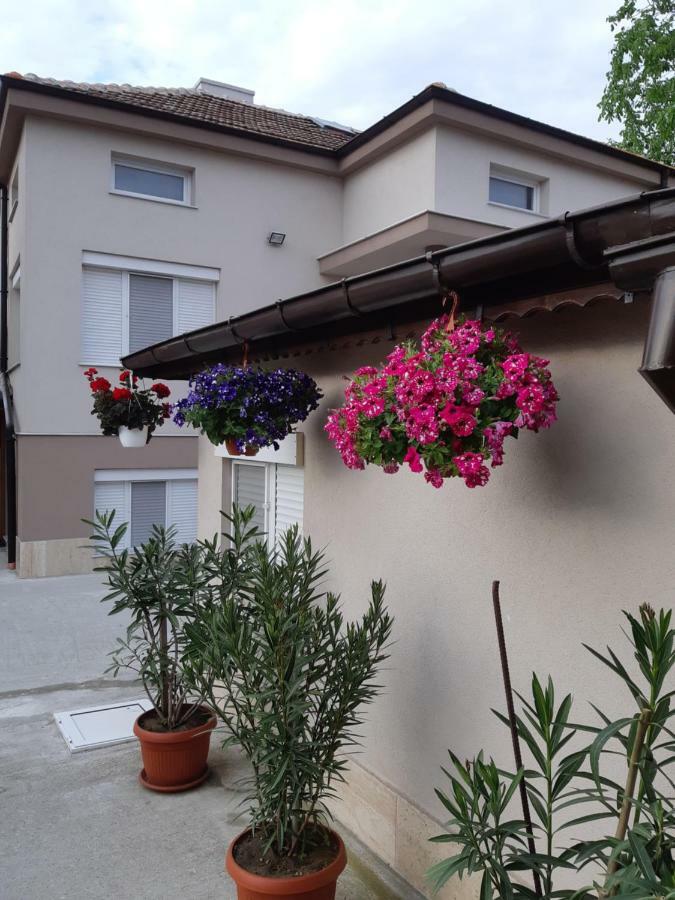 Villa Ros Guest House スヴィレングラッド エクステリア 写真