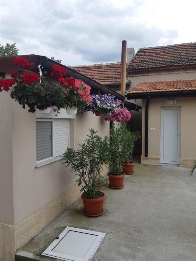 Villa Ros Guest House スヴィレングラッド エクステリア 写真