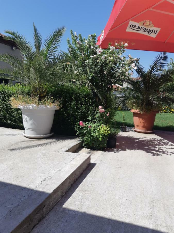 Villa Ros Guest House スヴィレングラッド エクステリア 写真