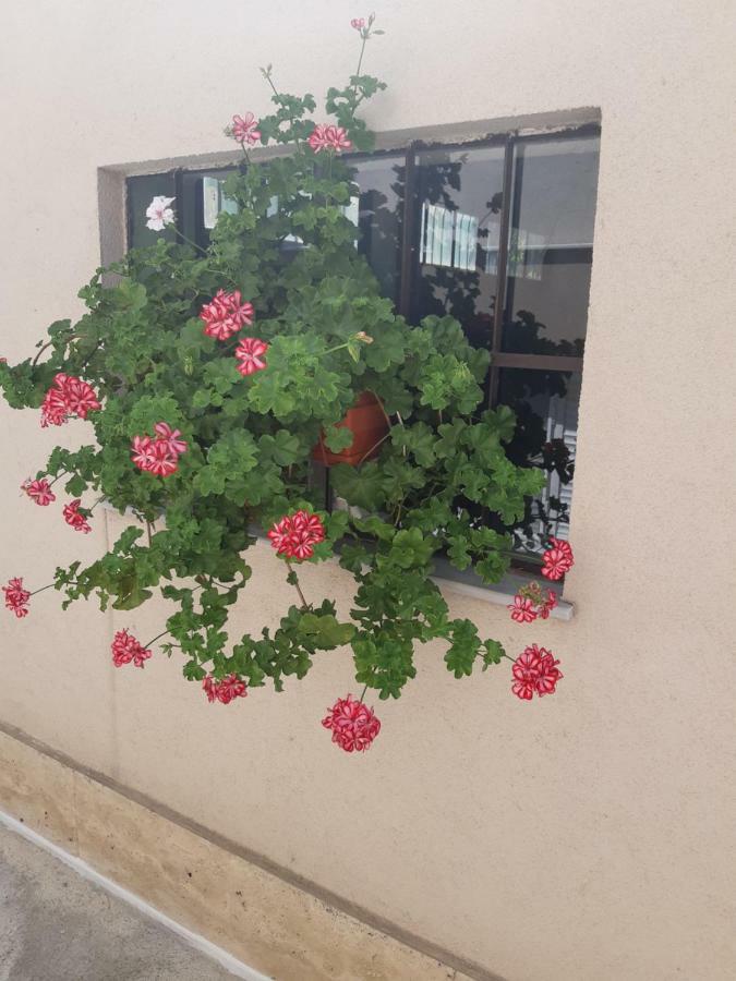 Villa Ros Guest House スヴィレングラッド エクステリア 写真