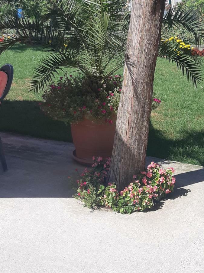 Villa Ros Guest House スヴィレングラッド エクステリア 写真