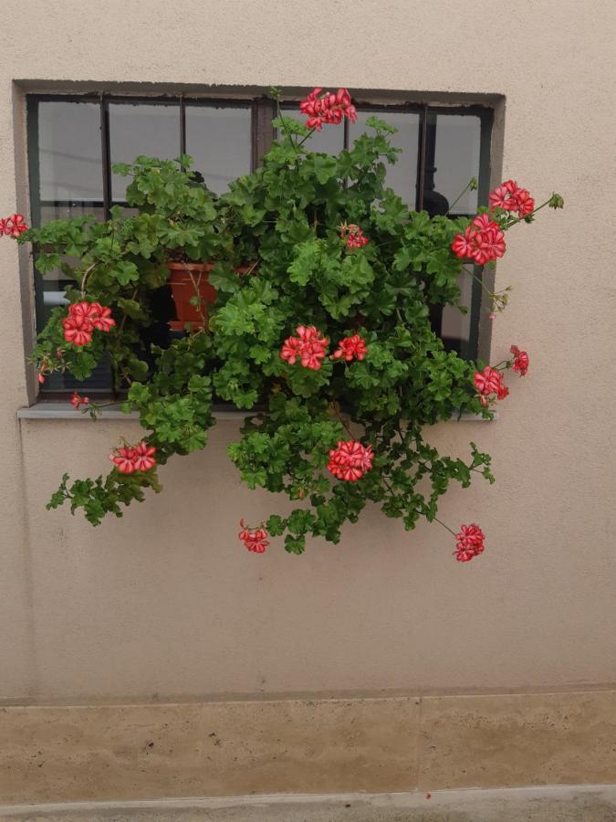 Villa Ros Guest House スヴィレングラッド エクステリア 写真