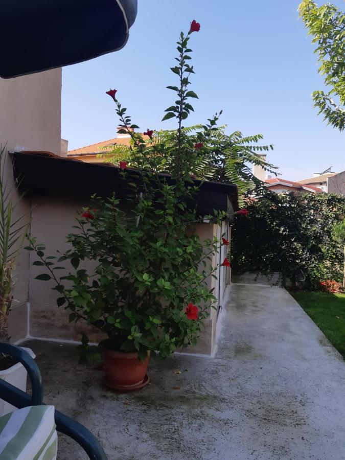 Villa Ros Guest House スヴィレングラッド エクステリア 写真