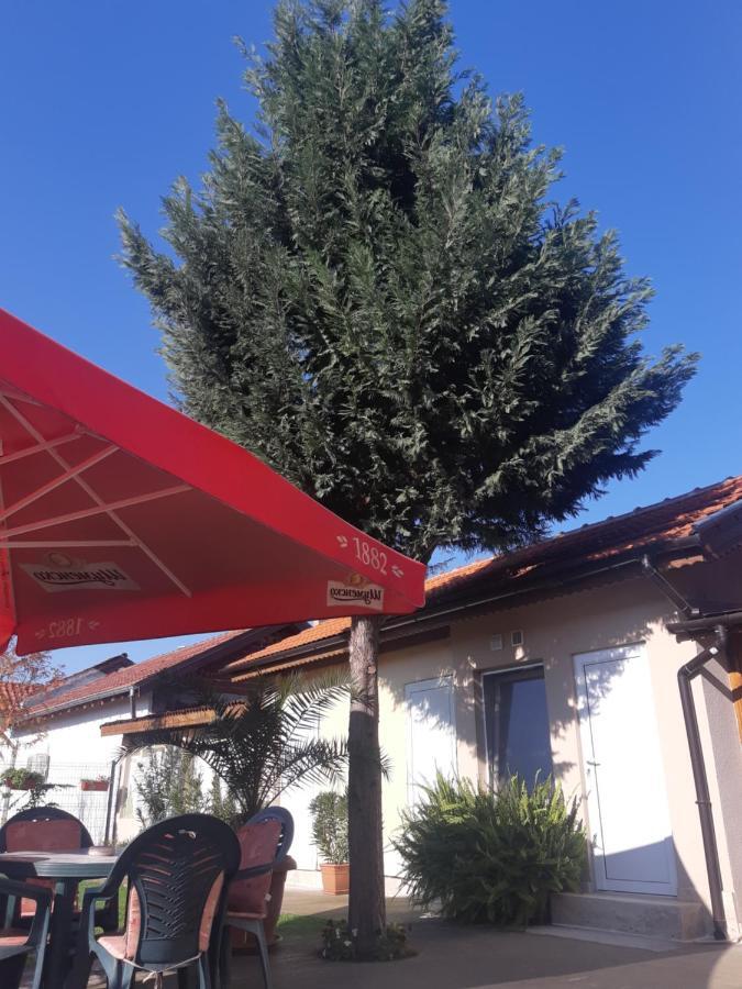 Villa Ros Guest House スヴィレングラッド エクステリア 写真